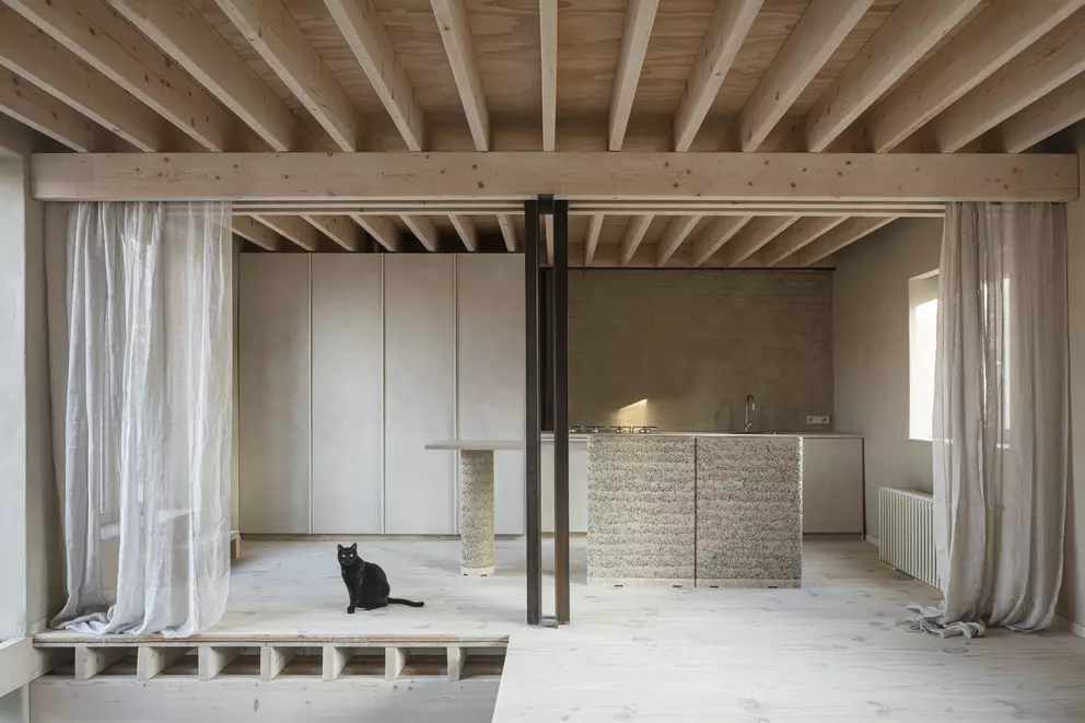 Karper©Tim Van de Velde